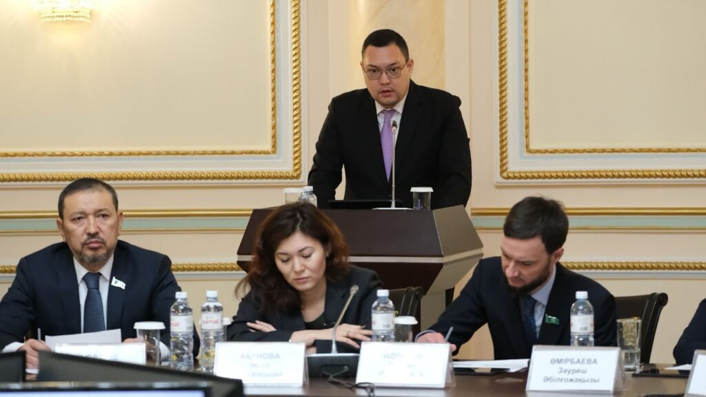 Совет по развитию инклюзивной среды создан в Алматы