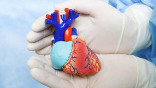 Ученые создали ультратонкий кардиостимулятор