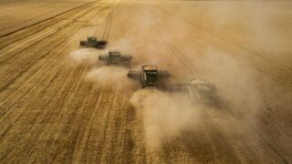 Увеличению урожайности в Казахстане могут помочь удобрения