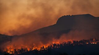 В Генпрокуратуре высказалась о причинах лесного пожара в Абайской области