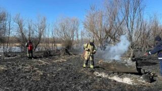 На побережье Каспия спустя 7 дней потушили крупный пожар