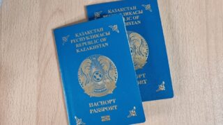 Сколько человек получили гражданство Казахстана и из каких стран в 2023 году