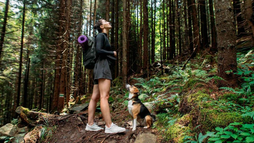 Девушка в лесу с собакой