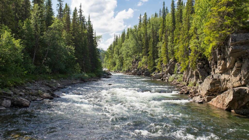 В Туркестанской области начнут строить водохранилище 