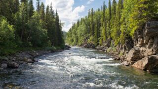 В Туркестанской области начнут строить водохранилище «Байдибек Ата»