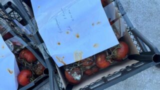 В Уральске уничтожили тонну зараженных помидоров