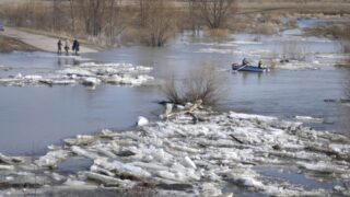 В реке Урал уровень воды поднялся выше критического