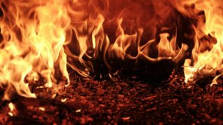 Камыш горит в Алматинской области