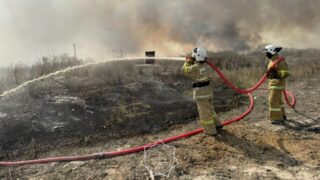 Лесной пожар в Алматинской области: открыто уголовное дело