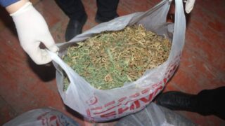 Полиция уничтожила нарколабораторию в Кызылординской области