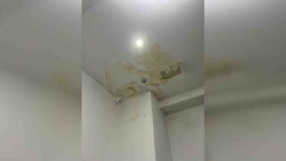 Потолки текут, проводка замыкает: как живут студенты в хостеле Булата Утемуратова