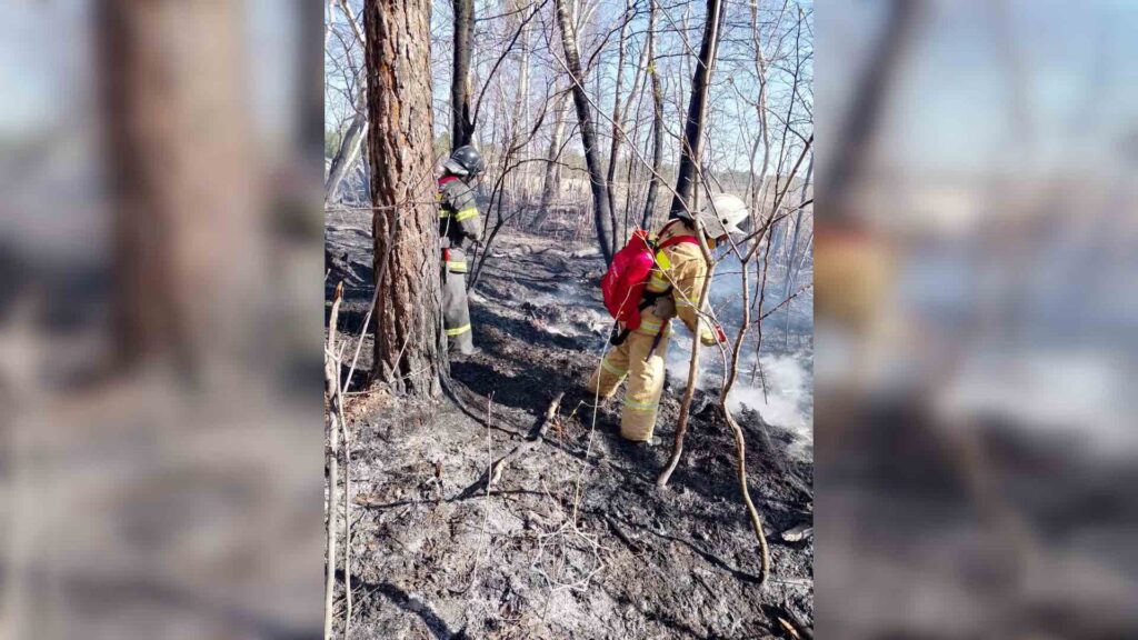 Пожарник тушит пожар на лесопокрытой местности в "Семей Орманы"