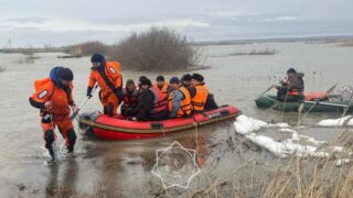 Разбронировано 264 тонны продовольствия для эвакуированных из Кульсары