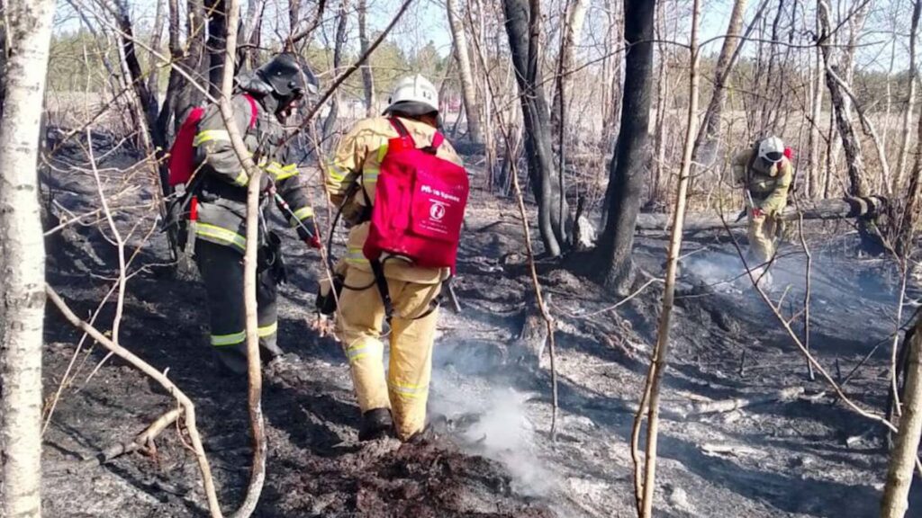 Пожарные тушат лес в резервате "Семей Орманы"