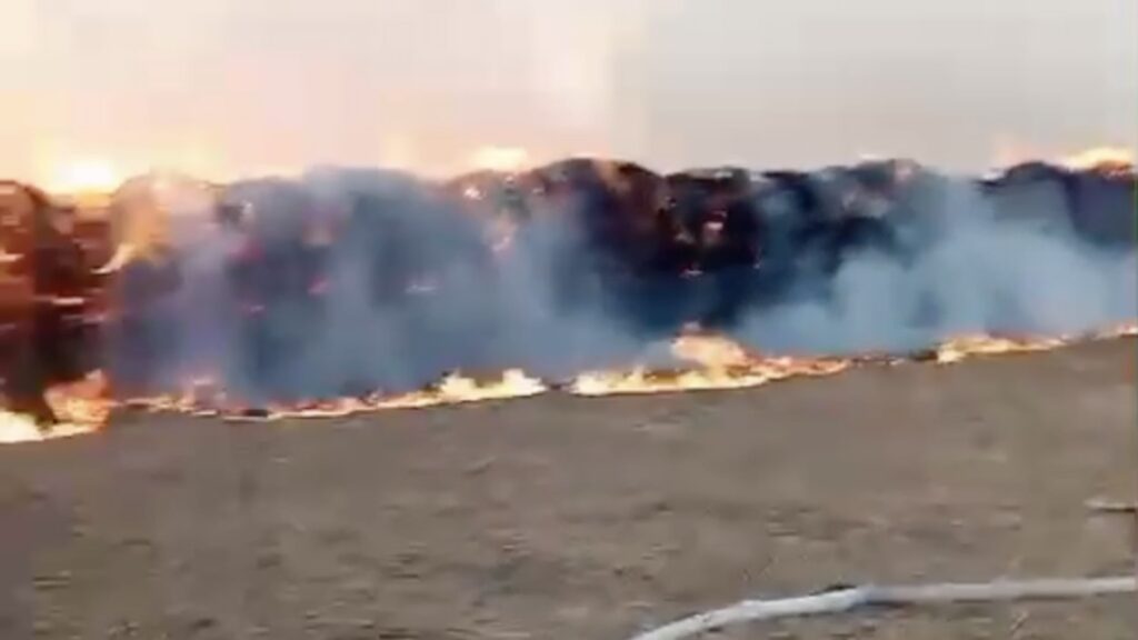 Сено горит в Атырауской области