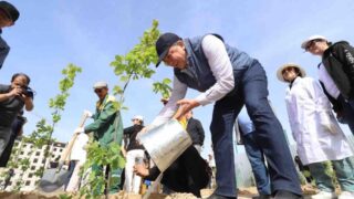 Жители вместе с акимами посадили деревья в Мангистауской области