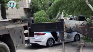 Дерево упало на полицейскую машину в Алматы