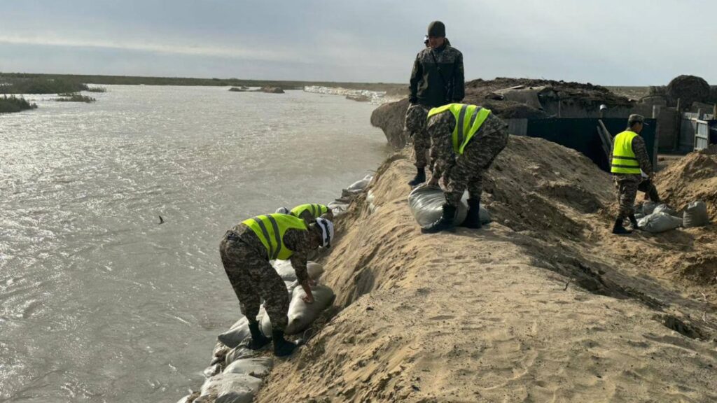 Спасатели укрепляют берег