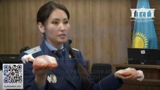 Предметом ударов Нукеновой могут быть кулак или обутая нога, у него нет сердца: прокурор Айжан Аймаганова выступила перед присяжными