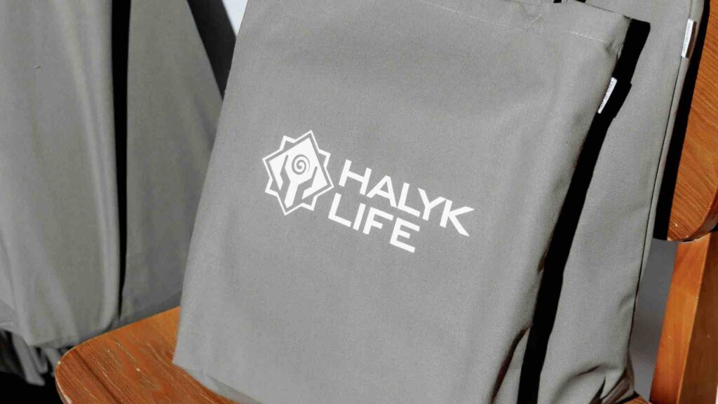 Серая сумка с логотипом Halyk Life стоит на поверхности