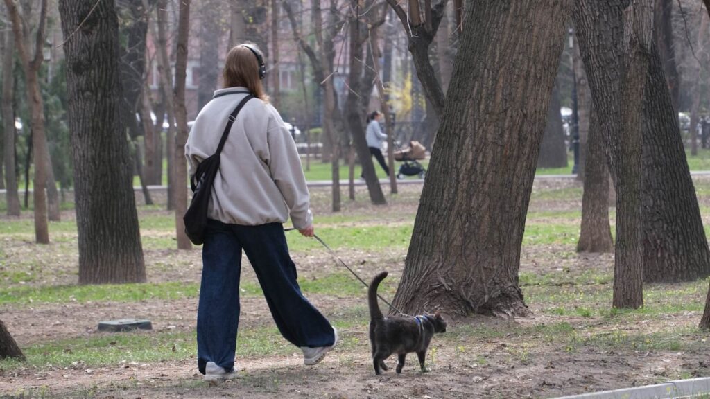 Девушка в наушниках гуляет с кошкой в парке Алматы