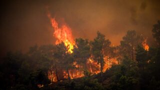 Казахстанцы, возможно, виновны в пожаре на греческом острове