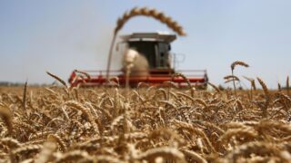 В Казахстане спрос на сельхозтехнику вырос на 18%