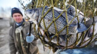В Казахстане усиливают борьбу с браконьерством в рыболовстве