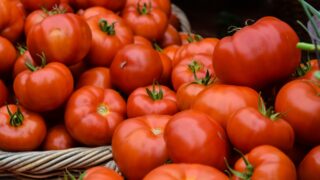 В Туркестанской области запретили ввоз зараженных томатов