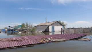 Государство подстрахует