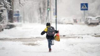 Все школы в Павлодарской области переведены на дистанционное обучение