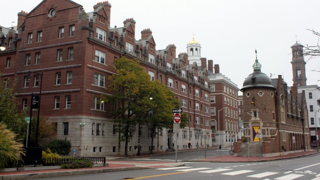 Фото: CC BY 2.0 / Prayitno / Harvard University