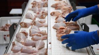 Госаудит выявил барьеры для малых производителей мяса птицы в Казахстане