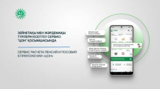 Калькулятор расчета пенсий и пособий в приложении «ЦОН»