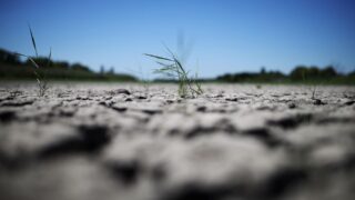 Нескольким областям Казахстана грозит засуха