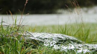 Погода в Казахстане: 27 мая ночные заморозки продолжатся