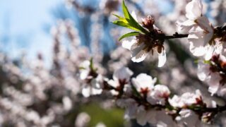 Погода на 8-10 мая в Казахстане