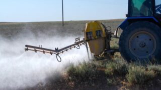 В Казахстане от саранчи обработано уже 844 тысяч гектаров