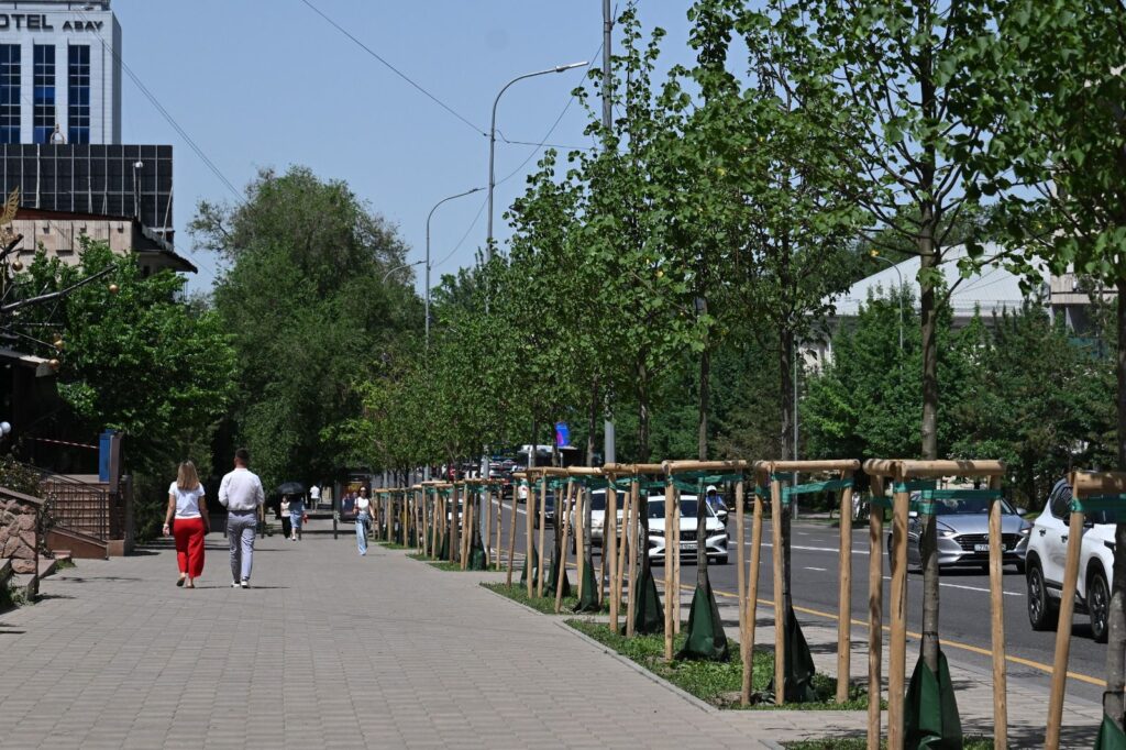 Иллюстрация — В Алматы за три года высажено более миллиона деревьев