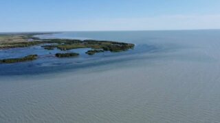 Французские эксперты исследовали Балхаш: что ждёт водный баланс