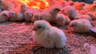 Молодежь Казахстана все чаще идет в бизнес