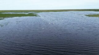 Озеро Караколь наполнили впервые за 10 лет: вода вернулась в степь