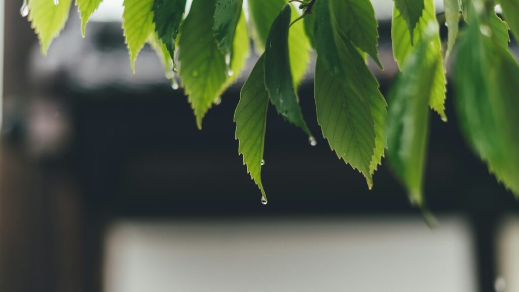 Фото: unsplash.com