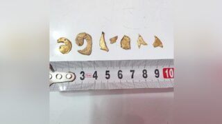 Сакское золото найдено в Уйгурском районе — археологи раскрыли подробности