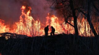 В Атырау снова горит камыш: охвачено 650 гектаров