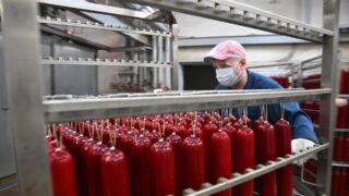 Цену на мясо сайгаков в Казахстане озвучат через несколько дней