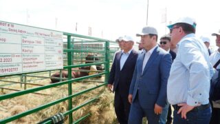 Сапаров: «Jańa Dala / Green Day ‘2025» — эффективная площадка для развития АПК