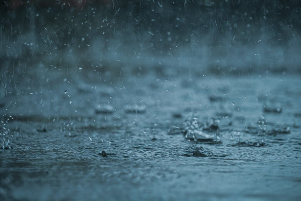 Фото: unsplash.com