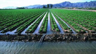 Водозабор в Казахстане превысил 8 млрд кубометров