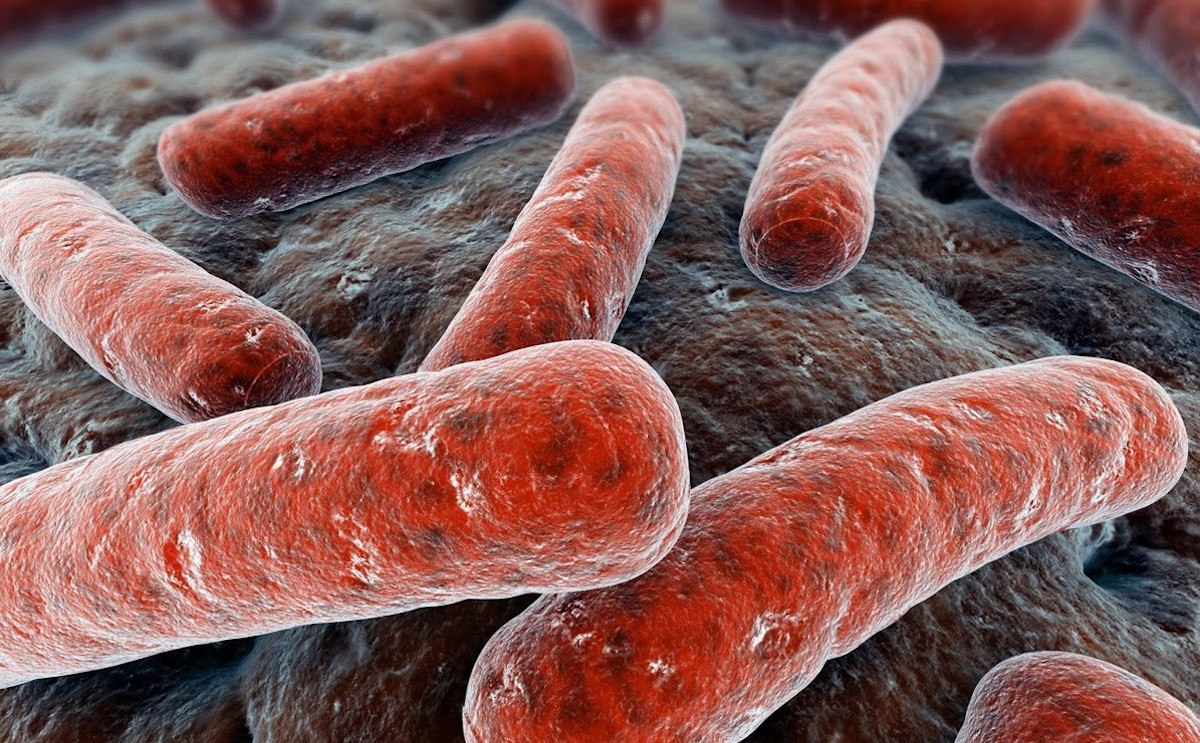 Заболеваемость туберкулезом в Мангистау снизилась на 28,2% среди взрослых и на 58,1% среди детей